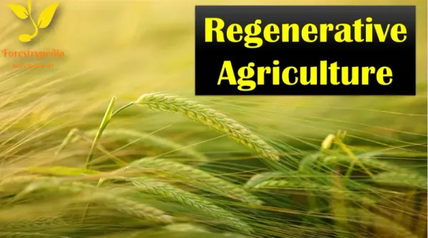 Regenerative Agriculture: Restored Centripetal Force & Geobiology w Prof Ralf Otterpohl & Dan Winter