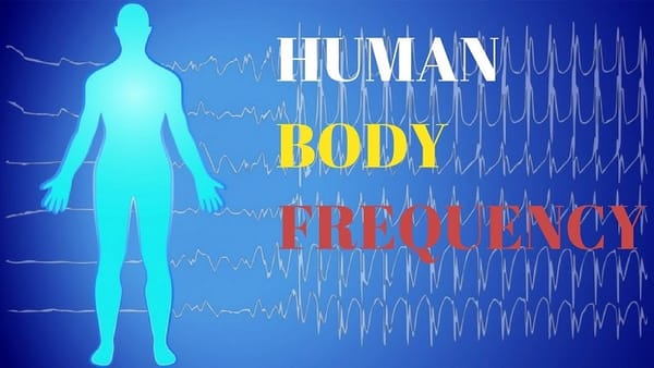 Body Frequencies & body rhythms