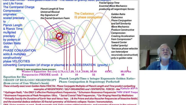 Peace Making: IS Negentropy- Pure Fractal Harmonic Science with Dan Winter